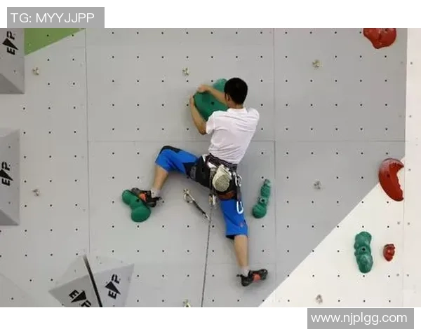 深入分析西安飞盘队的运营策略与发展模式探讨