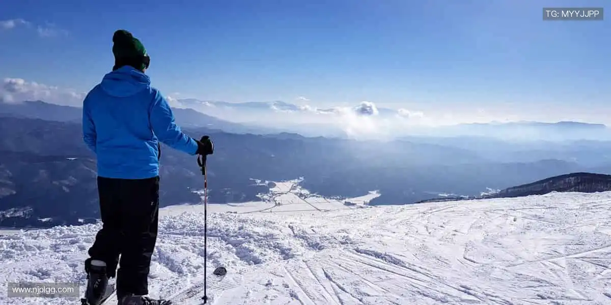 数据与激情同频，专业共欢乐一色！📊🎉 用科技解锁体育新视角！